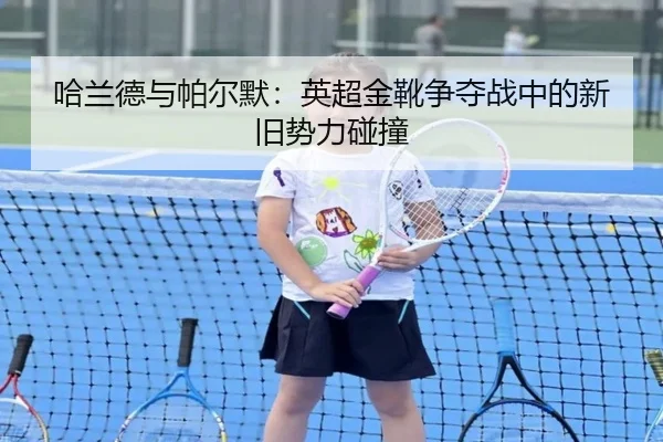 ha-lan-de-yu-pa-er-mo-ying-chao-jin-xue-zheng-duo-zhan-zhong-de-xin-jiu-shi-li-peng-zhuang-3-169.jpg