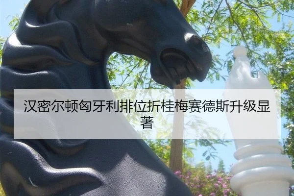 han-mi-er-dun-xiong-ya-li-pai-wei-zhe-gui-mei-sai-de-si-sheng-ji-xian-zhu-2-661.jpg